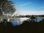 Lake Oswego, Relaxing Willamette River View, picture taken from inside of KARAMAR Skincare